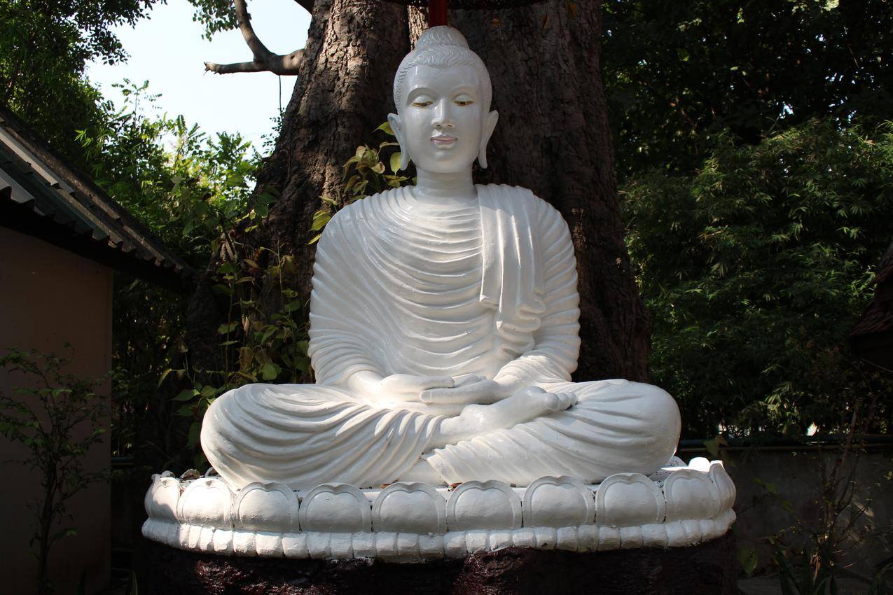 网红商城